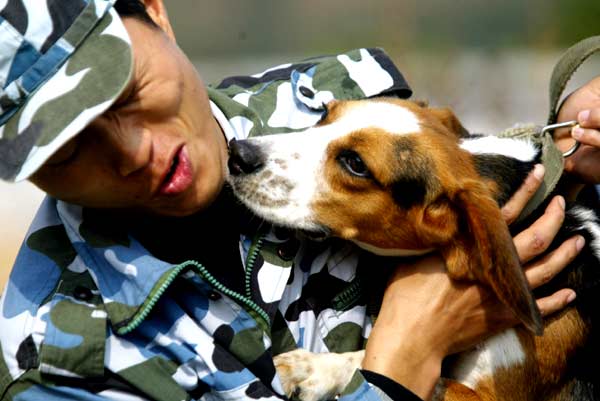 最新神犬，自然美景之旅，寻找内心的平和与宁静