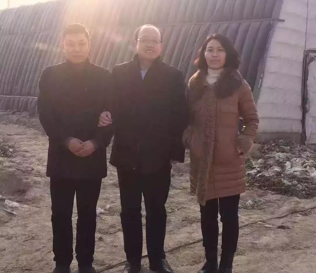 最新创业项目揭秘，探索未来商机与无限机遇