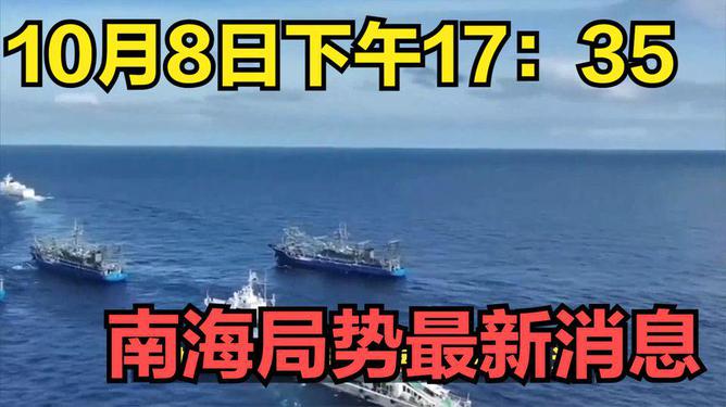 南海最新动态，深度解析南海最新新闻论述