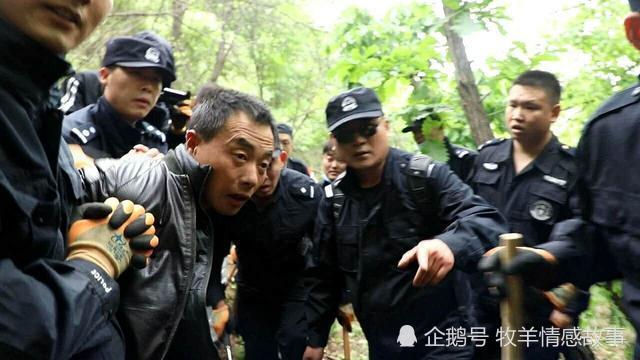 葫芦岛最新案件揭秘，小巷深处的秘密故事