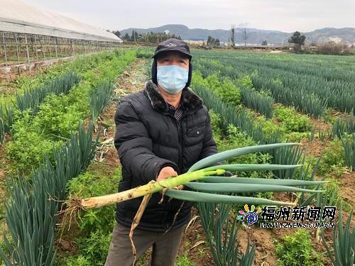 琅岐最新动态，学习变革浪潮中的自信与成就感之源