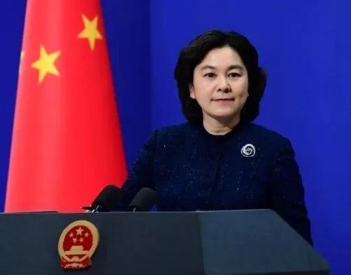 华春莹的最新动态，力量在变化中彰显，自信与成就感伴学习成长之路