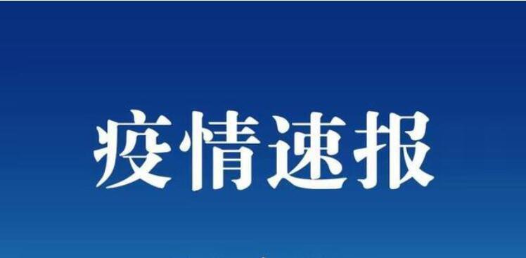 最新疫情播报与小巷深处的独特风味魅力小店