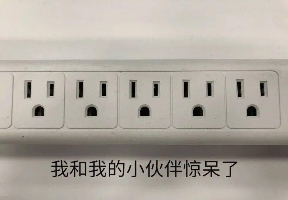 DP公司最新作品种子揭秘，三大前沿科技亮点探索