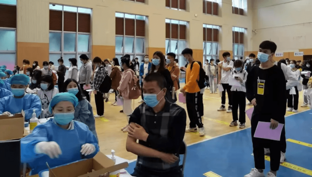 邢清鑫最新动态揭秘，小巷深处的独特风味探秘之旅