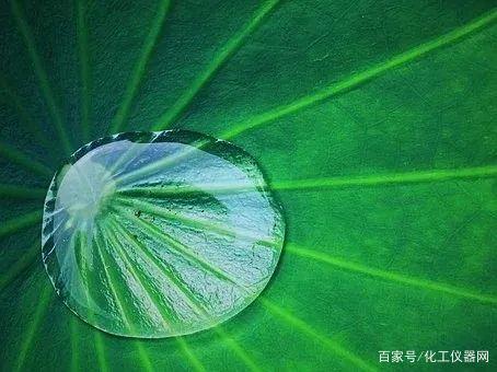 蜂鸟团队版下载最新版，科技助力高效协作，团队生活触手可及