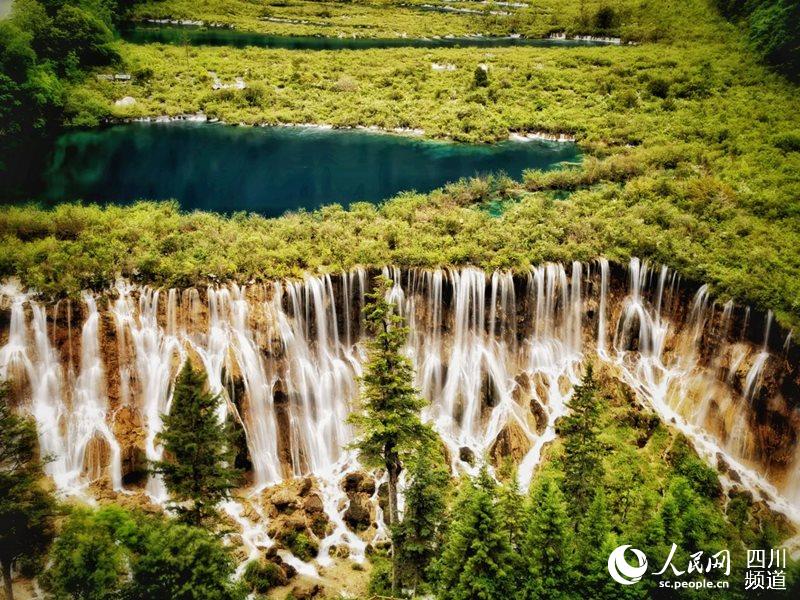 九寨沟景区最新动态揭秘，深度解析与观点阐述